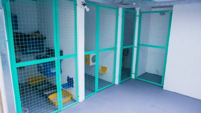 Hotel para gatos