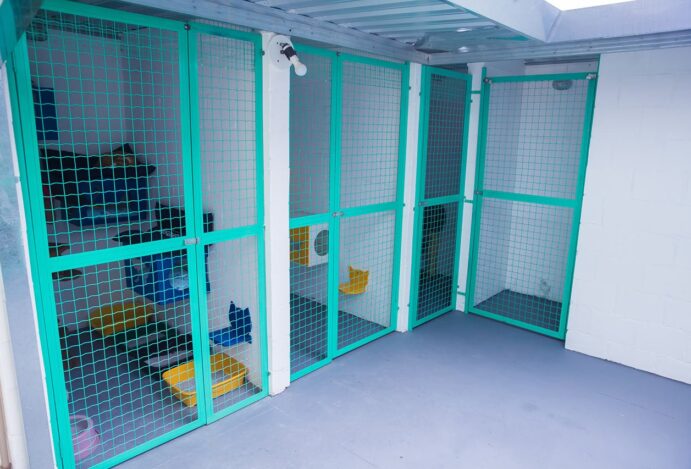 Hotel para gatos