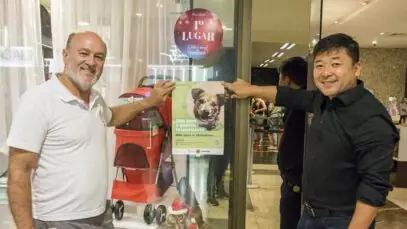 abandono de animais
