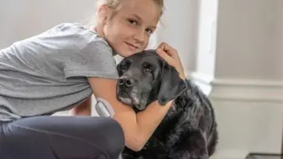 pets com diabetes