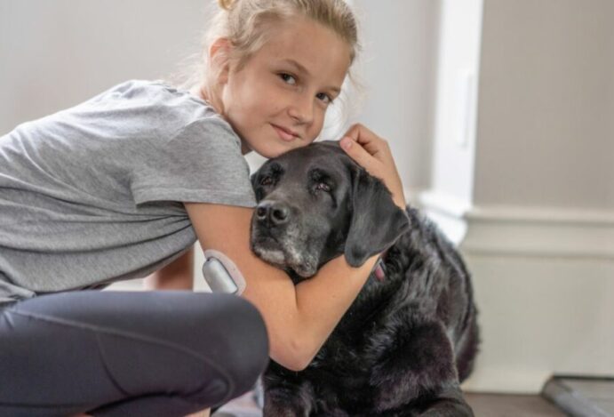 pets com diabetes