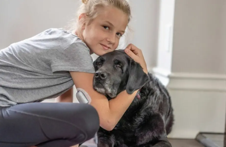 pets com diabetes