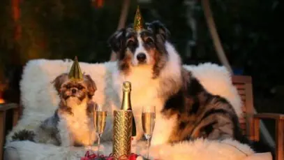 festas de fim de ano
