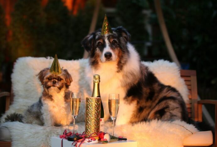 festas de fim de ano