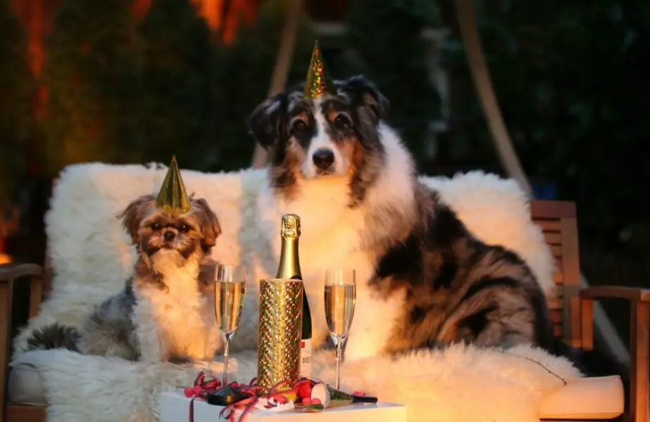 festas de fim de ano