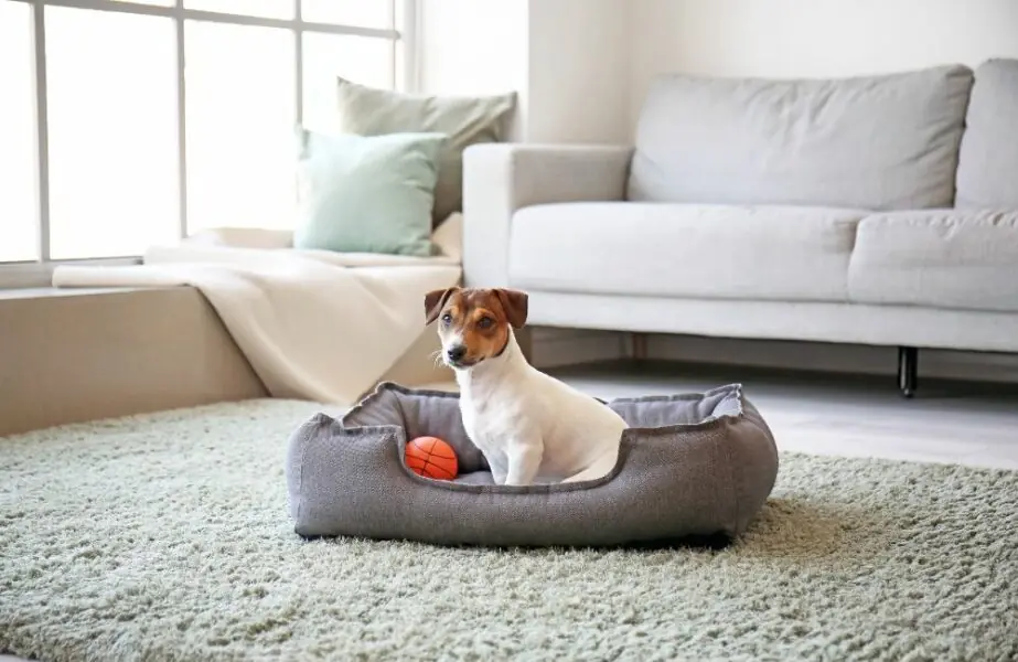 Design sem nome – 2023-12-14T125842.295 Cama térmica para cachorro