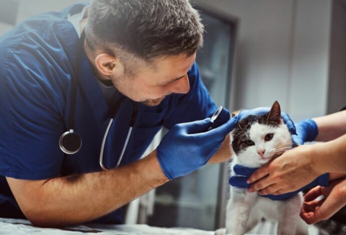 piso salarial dos veterinários