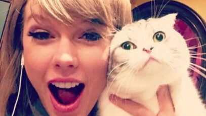 Gata da taylor swift Gata da Taylor Swift