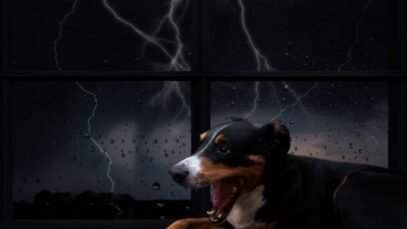 Medo de chuva