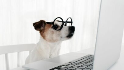 E-commerce pet