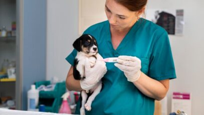 close-no-veterinario-cuidando-do-cachorro_23-2149100198 chat GPT na medicina veterinária