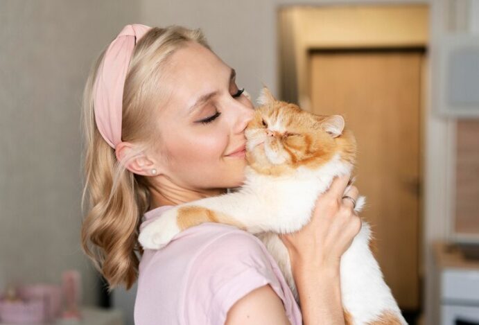 gatos ronronam