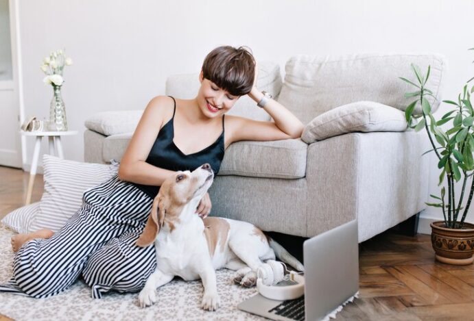 conversar com pets