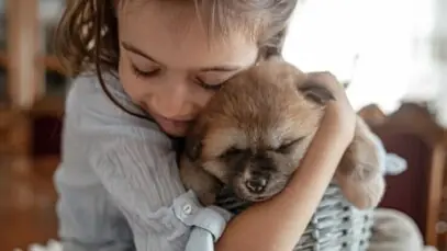 cachorro filhote