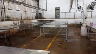 Fábrica de petiscos