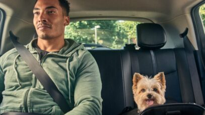 Uber Pet
