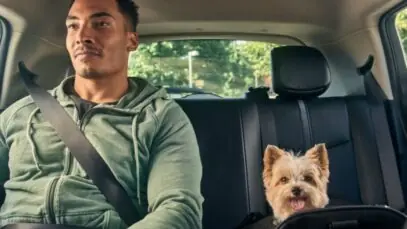 Uber Pet