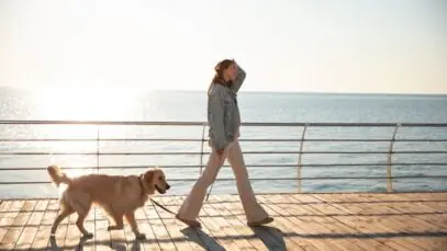 melhores horários para passear com pets