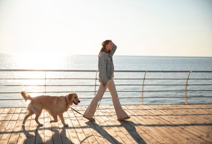 melhores horários para passear com pets