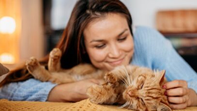 proprietario-acariciando-gato-adoravel_23-2148740480 pet sitter ideal