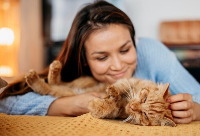 pet sitter ideal