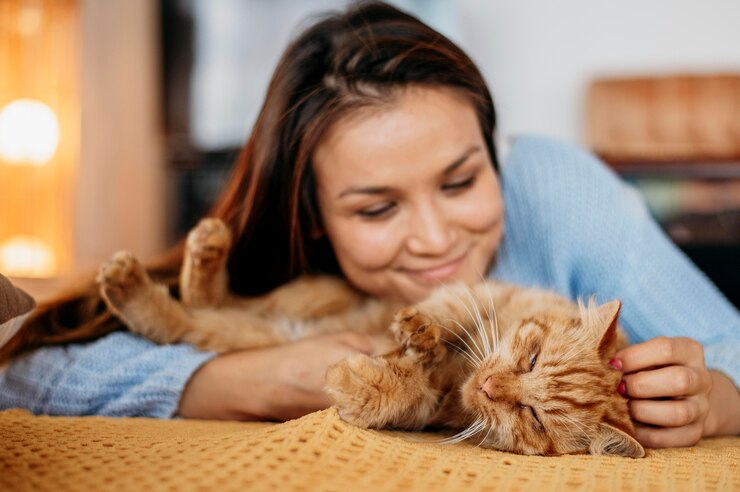 pet sitter ideal