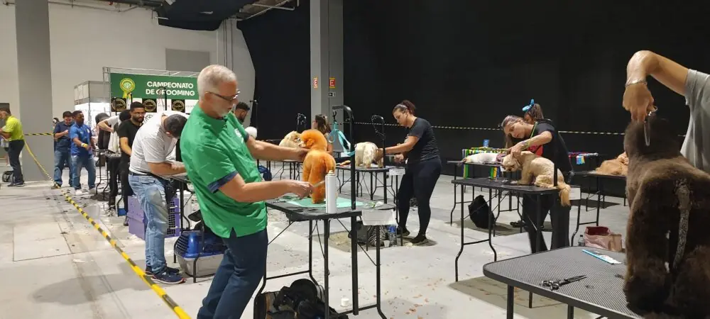 Primeira feira pet da Baixada Santista atrai 800 empresas