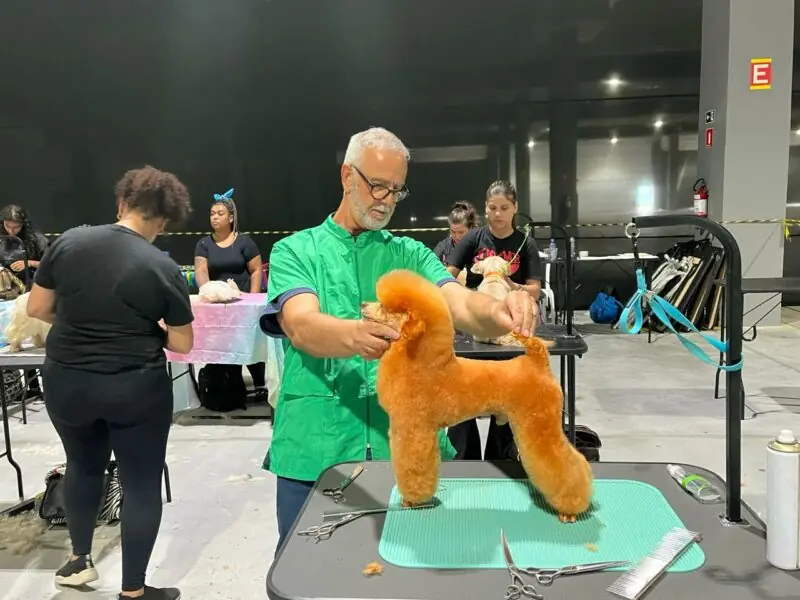 Primeira feira pet da Baixada Santista atrai 800 empresas