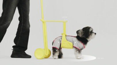 Mobilidade de cães idosos
