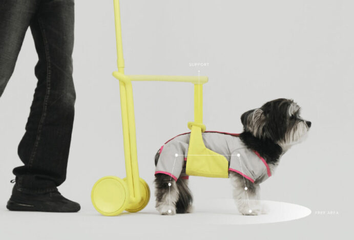 Mobilidade de cães idosos