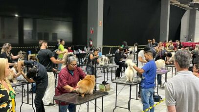 feira pet feira pet