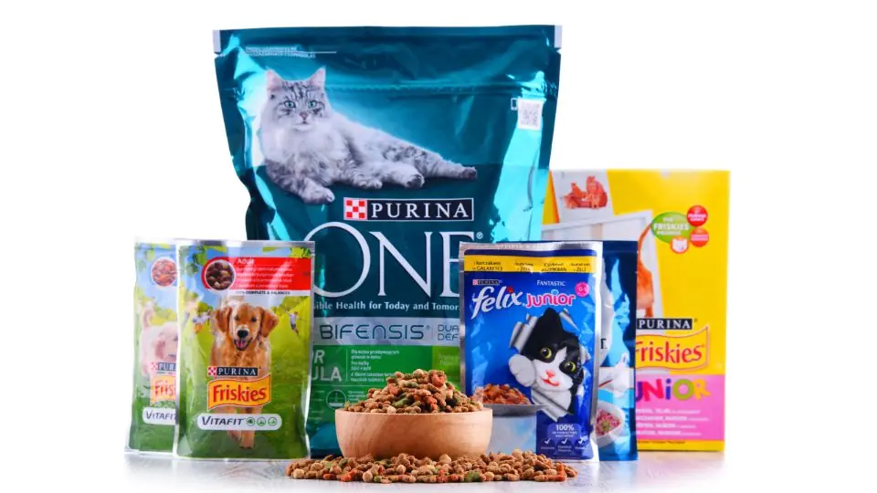 Mercado pet 
