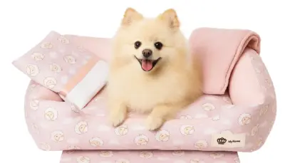 Enxoval pet
