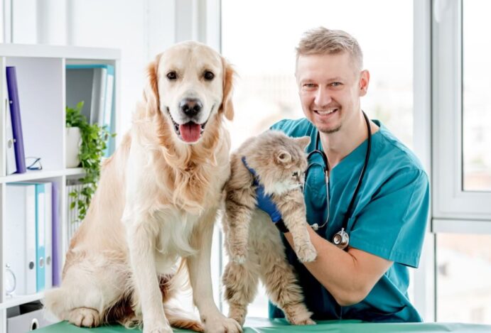 Quando os pets devem fazer check-up veterinário?