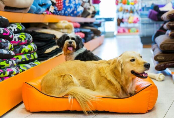 Imagem relacionada a: Estado cria iniciativa para alavancar negócios no setor pet