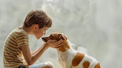 Convivência entre crianças e pets