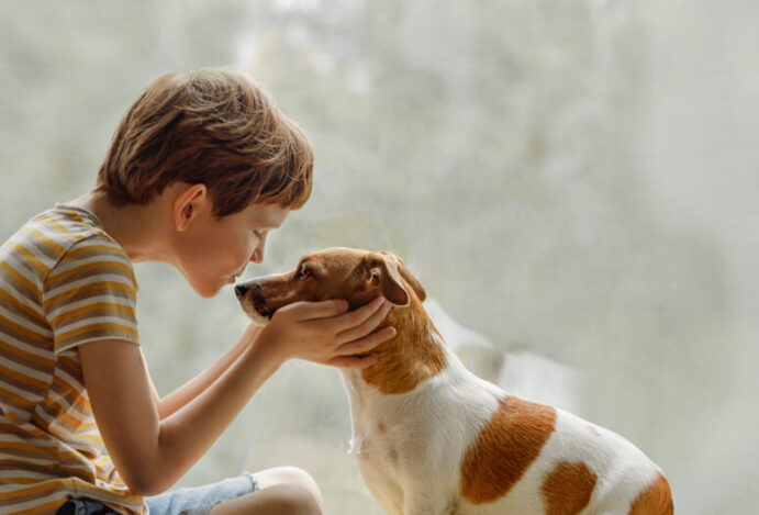 Convivência entre crianças e pets