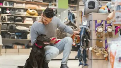 produtos para pets