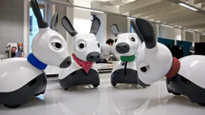 Idosos e pet robo