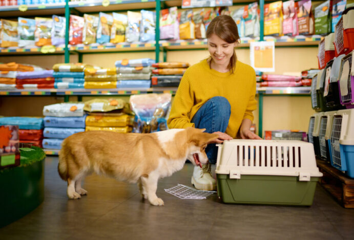 Gastos de brasileiros com pets