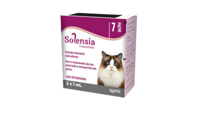 PORTAL osteoartrite em gatos