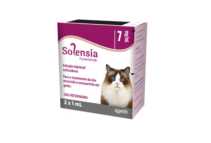 osteoartrite em gatos