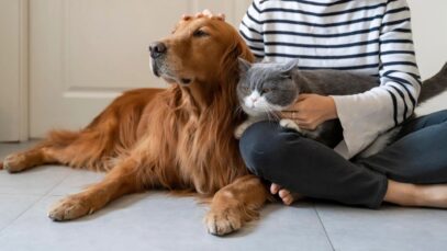 Gatos e cachorros podem morar juntos?