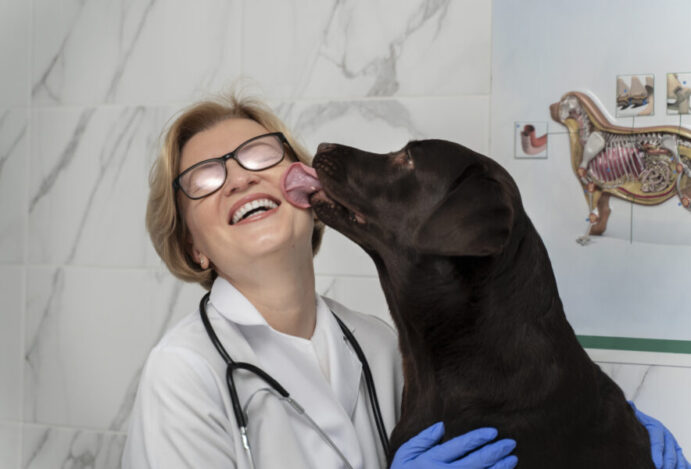 Pet confortável