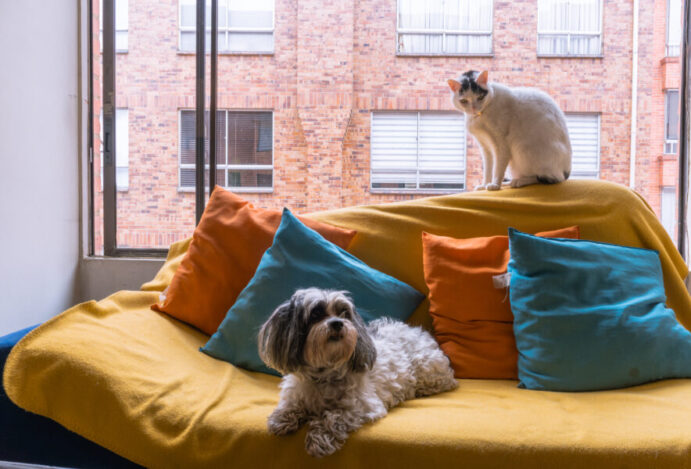 pets em condomínios