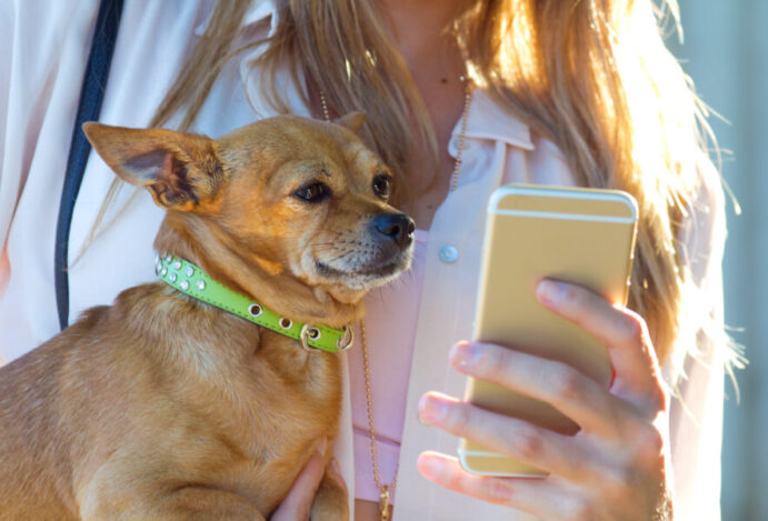 produtos para pets