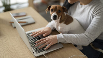 E-COMMERCE PET