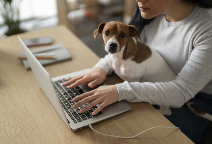 E-COMMERCE PET
