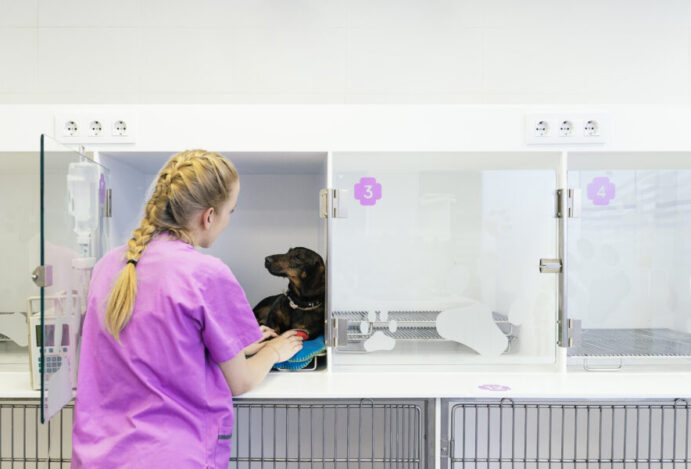 SP monta hospital veterinário de campanha no RS