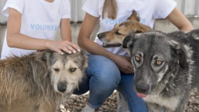 PETS FORAM RESGATADOS